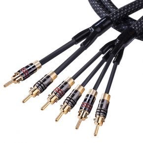 Tributaries Series 8 Bi-Wire Speaker Cable with 2X4 Banana Plugs